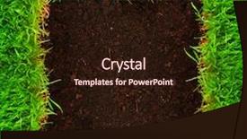  Presentation with soil - PPT theme having healthy grass frame growing background and a wine colored foreground