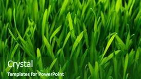  Presentation with pattern - Colorful slide deck enhanced with healthy grass pattern backdrop and a forest green colored foreground