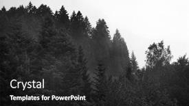  Presentation with pine trees - Presentation design featuring healthy-green-trees background and a dark gray colored foreground