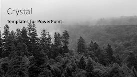  Presentation with pine trees - Colorful PPT theme enhanced with healthy-green-trees backdrop and a light gray colored foreground