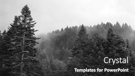  Presentation with pine trees - Audience pleasing slide deck consisting of healthy-green-trees backdrop and a dark gray colored foreground