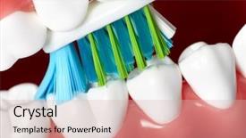 Presentation with tooth brush - PPT layouts with healthy human teeth and tooth background and a  colored foreground