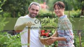  Presentation with healthy living - Theme with healthy living - couple picking vegetables background and a seafoam green colored foreground