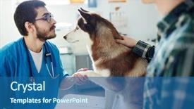  Presentation with paw - Theme featuring veterinarian - doctor shaking paw of his background and a ocean colored foreground