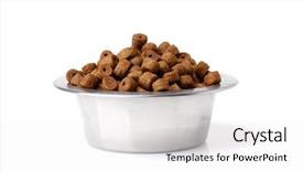  Presentation with animal nutrition - PPT theme enhanced with animal nutrition - dog food isolated on white background and a white colored foreground