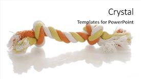  Presentation with yellow orange - Audience pleasing slides consisting of orange and yellow dog tug rope toy with reflection on white background backdrop and a white colored foreground