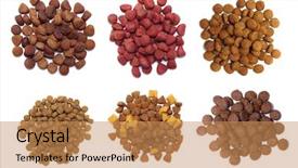 Presentation with drying food - Beautiful slides featuring set dry food for dogs backdrop and a coral colored foreground