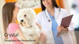  Presentation with therapy dog - PPT layouts featuring pet therapy - sick maltese dog on exam background and a lemonade colored foreground