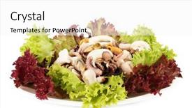  Presentation with octopus - Amazing presentation theme having healthy seafood salad with shrimps octopus and mussels squids isolated on white backdrop and a white colored foreground
