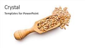  Presentation with grains - Amazing slide set having healthy spelt grains in wooden backdrop and a white colored foreground
