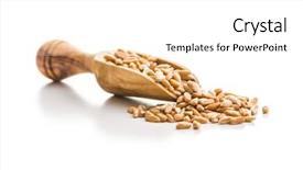  Presentation with grains - Audience pleasing slide set consisting of healthy spelt grains in wooden backdrop and a  colored foreground