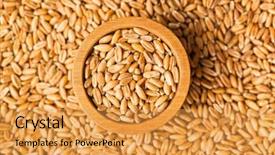  Presentation with grains - Presentation theme featuring healthy spelt grains in wooden background and a gold colored foreground