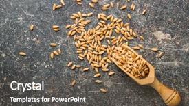  Presentation with grains - PPT theme consisting of healthy spelt grains in wooden background and a dark gray colored foreground