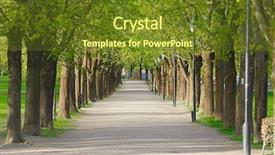  Presentation with green trees in park - Beautiful theme featuring healthy way life - spring park with green trees backdrop and a tawny brown colored foreground