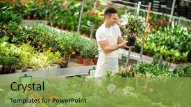  Presentation with citrus - Amazing presentation theme having healty life - happy botanists holding citrus cumquat backdrop and a  colored foreground