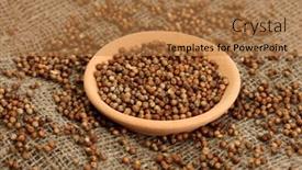  Presentation with canvas - Theme enhanced with heap-coriander-seeds-in-bowl background and a coral colored foreground