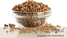  Presentation with seeds - Beautiful slide set featuring heap coriander seeds in glass backdrop and a coral colored foreground