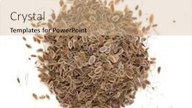  Presentation with seed - Cool new presentation with heap dill seed isolated backdrop and a coral colored foreground