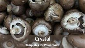  Presentation with food market - Amazing slides having heap of black color mushrooms in the farmer's market food background backdrop and a dark gray colored foreground