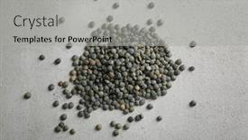  Presentation with lentils - 