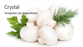  Presentation with mushrooms - Beautiful theme featuring heap of champignon mushrooms backdrop and a  colored foreground