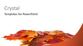  Presentation with maple leaves - Slide set consisting of heap-of-colorful-maple-leaves background and a white colored foreground