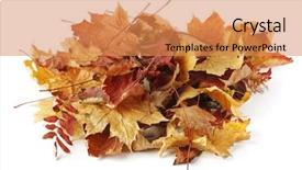  Presentation with fall leaves border white - Amazing slides having heap of different autumn leaves backdrop and a coral colored foreground