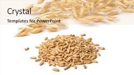  Presentation with oat - PPT theme consisting of heap of dried organic oat background and a lemonade colored foreground