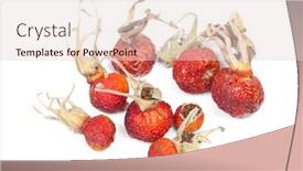  Presentation with rose hips - Presentation with heap-of-dried-rose-hips background and a lemonade colored foreground