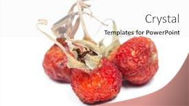  Presentation with rose hips - Presentation theme featuring heap-of-dried-rose-hips background and a white colored foreground