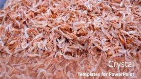  Presentation with shrimp fish - PPT theme consisting of heap-of-dried-shrimp-fish background and a coral colored foreground