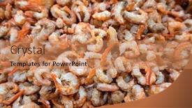  Presentation with shrimp fish - Beautiful presentation theme featuring heap-of-dried-shrimp-fish backdrop and a coral colored foreground