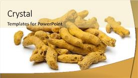  Presentation with turmeric - Presentation theme consisting of heap of dried turmeric rhizomes background and a blonde colored foreground