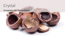  Presentation with nut - Presentation with heap-of-empty-macadamia-nut background and a lemonade colored foreground