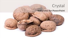  Presentation with shell - Colorful presentation theme enhanced with heap-of-empty-walnuts-shell backdrop and a lemonade colored foreground