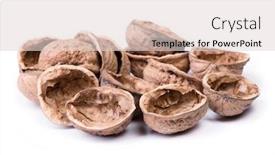  Presentation with shell - Audience pleasing presentation design consisting of heap-of-empty-walnuts-shell backdrop and a lemonade colored foreground