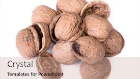  Presentation with shell - Presentation design consisting of heap-of-empty-walnuts-shell background and a coral colored foreground