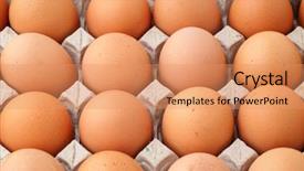  Presentation with packaging - Cool new presentation theme with heap of farm egg backdrop and a coral colored foreground