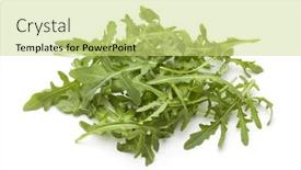  Presentation with tea leaves fresh green leaf - Slides with heap of fresh arugula leaves iisolated on white background background and a yellow colored foreground