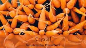  Presentation with carrots - Theme consisting of heap of fresh carrots displayed in a farmer's market healthy fresh and organic fruit and vegetable background and a gold colored foreground