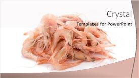  Presentation with shrimp - Presentation theme with heap of fresh mediterranean shrimp background and a sky blue colored foreground