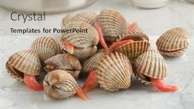  Presentation with cooking - Cool new slide deck with heap-of-fresh-prickly-cockles backdrop and a mint green colored foreground