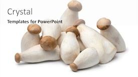  Presentation with oyster mushrooms fresh mushrooms - Slide set consisting of heap-of-fresh-raw-mini background and a white colored foreground