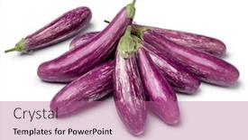  Presentation with organic - Amazing presentation design having heap-of-fresh-raw-organic backdrop and a coral colored foreground