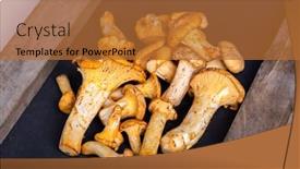  Presentation with forestry - PPT layouts featuring heap-of-fresh-yellow-forestry background and a red colored foreground