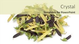  Presentation with peas - Colorful slides enhanced with heap of fresh yellow and purple snow peas isolated on white background backdrop and a blonde colored foreground