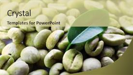  Presentation with green coffee beans - PPT theme with heap of green coffee beans background and a blonde colored foreground