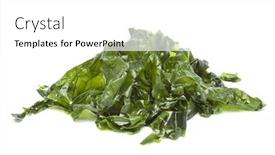  Presentation with white green - Presentation theme having heap-of-green-salted-sea background and a white colored foreground