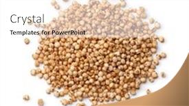  Presentation with quinoa - Slide set enhanced with heap-of-healthy-puffed-quinoa background and a white colored foreground