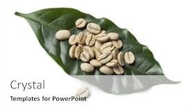  Presentation with green coffee beans - Cool new PPT theme with malabar green unroasted coffee bean backdrop and a white colored foreground